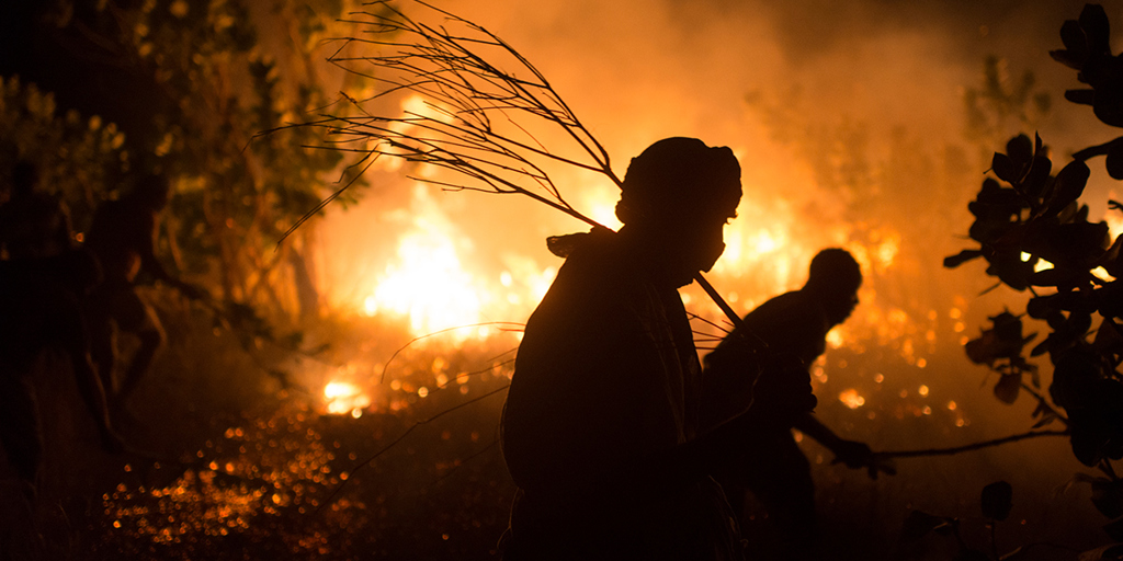 Members of the Refugee Fire Brigade use branches to beat out a large bushfire.  ©UNHCR/Colin Delfosse