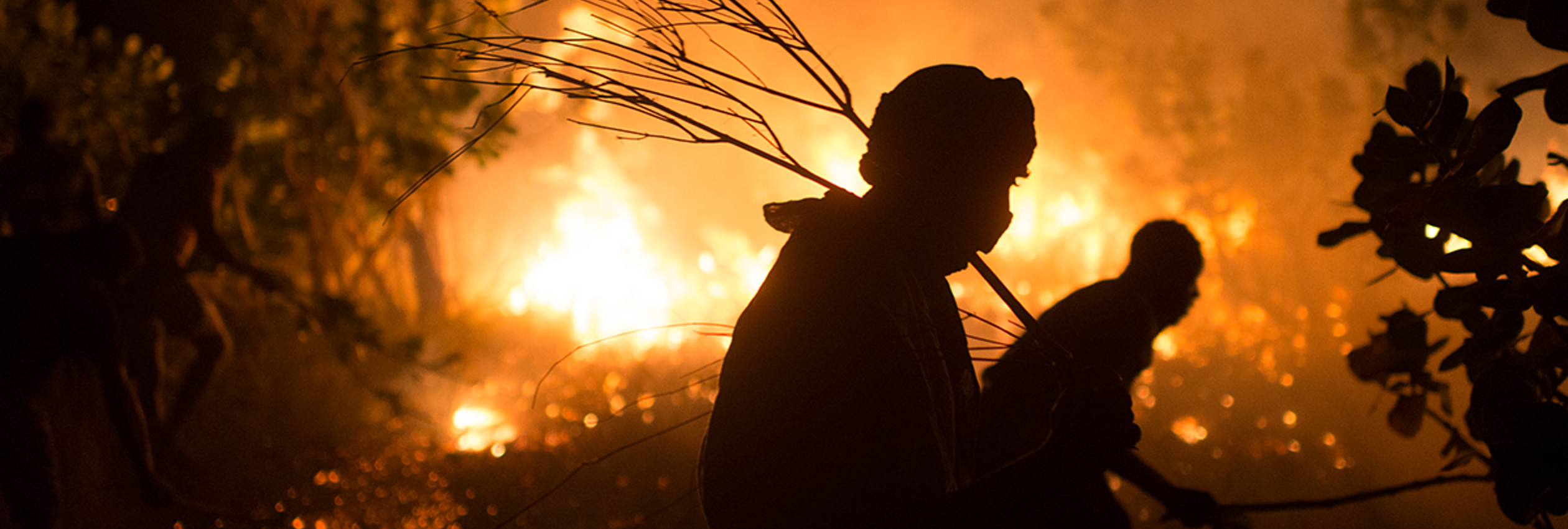 Members of the Refugee Fire Brigade use branches to beat out a large bushfire.  ©UNHCR/Colin Delfosse