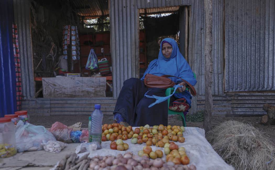 Dahira Mohamed, Somalian refugee and mother-of-fifteen waits for customers at the Melkadida host community market in Ethiopia