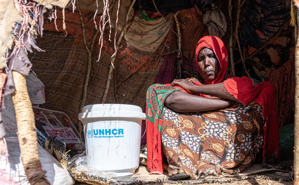 Ethiopia. Dire Needs For Displaced Ethiopians In The Somali Region As Droughts Continue